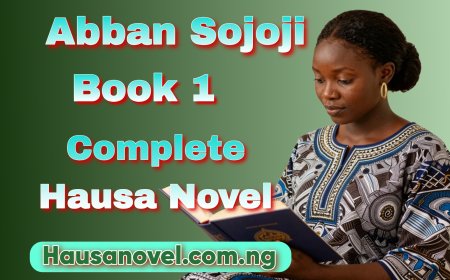 Abban Sojoji Book 1 Complete Hausa Novel By Hafsat Bature