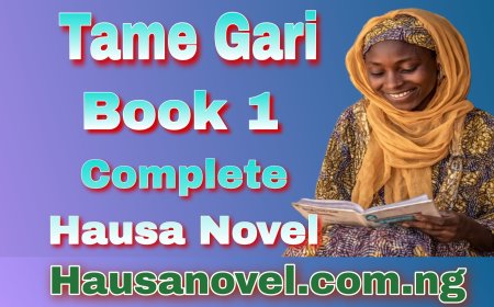 Tame Gari Littafi Na Daya Complete Hausa Novels
