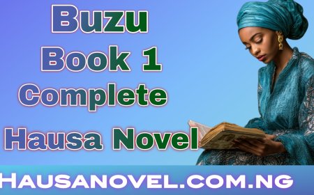 Buzu Book 1 Complete Hausa Novel