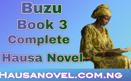 Buzu Book 3 Complete Hausa Novel