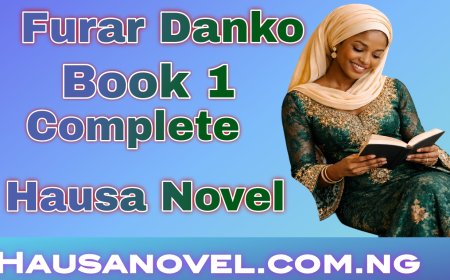 Furar Danko Book 1 Complete Hausa Novel