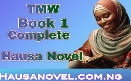 Tmw Book 1 Complete Hausa Novel