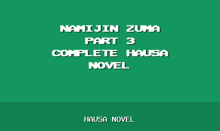 Namijin Zuma Part 3 Complete Hausa Novel