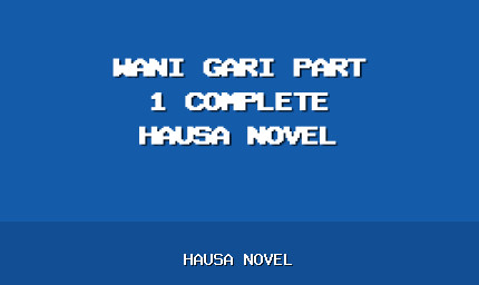 Wani Gari Part 1 Complete Hausa Novel