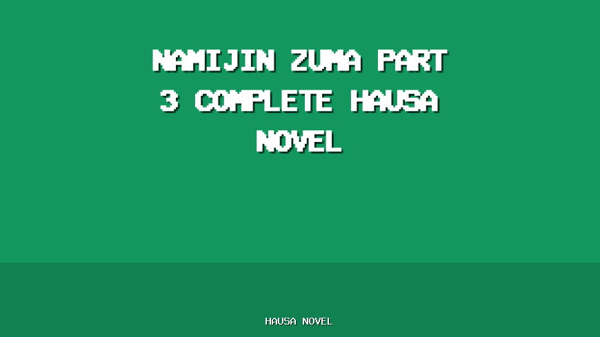 Namijin Zuma Part 3 Complete Hausa Novel