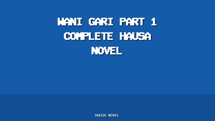 Wani Gari Part 1 Complete Hausa Novel